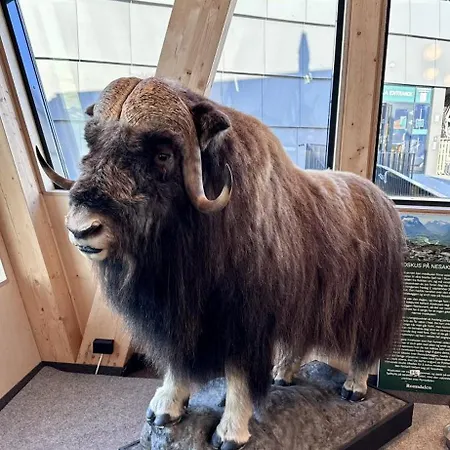 Utsikten Venjetind * Åndalsnes